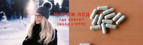 спиды Аркадак