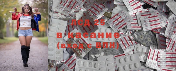 спиды Аркадак