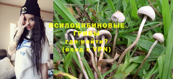 спиды Аркадак