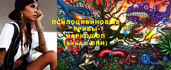 спиды Аркадак