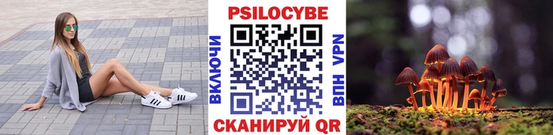 shop клад  Ряжск  Галлюциногенные грибы Cubensis  дарнет шоп 